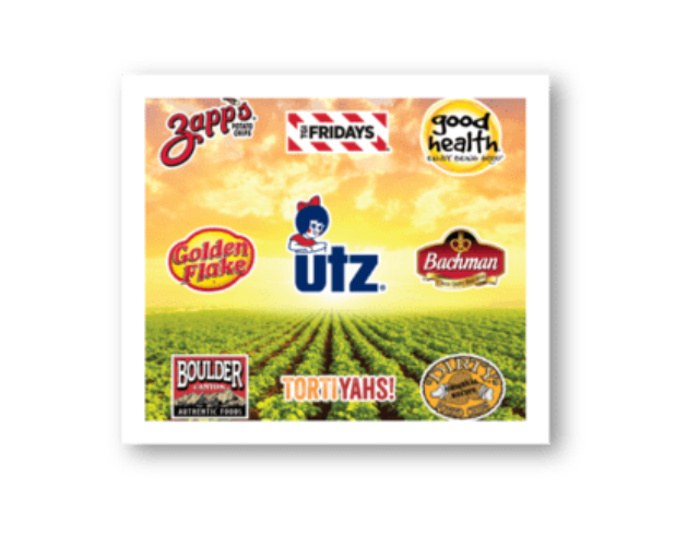 Collection of snack brand logos with a field background