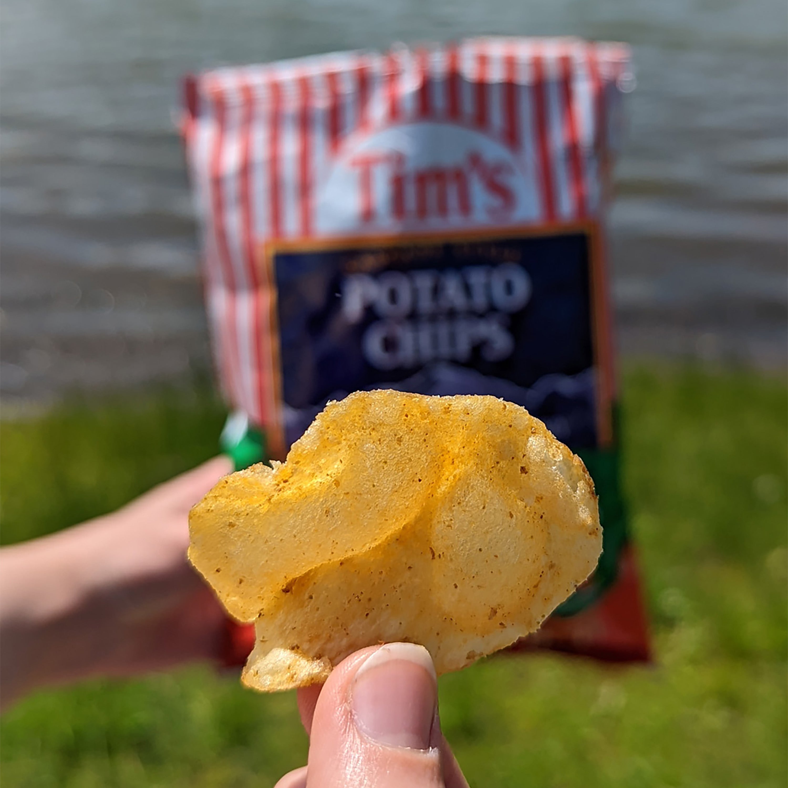 ハルシオンデイズ　ブルドッグ　ユニオンジャック　ジャスミン　キャンドル　ポット Tim's Potato Chips, Coney Island Mustard – Utz Quality Foods