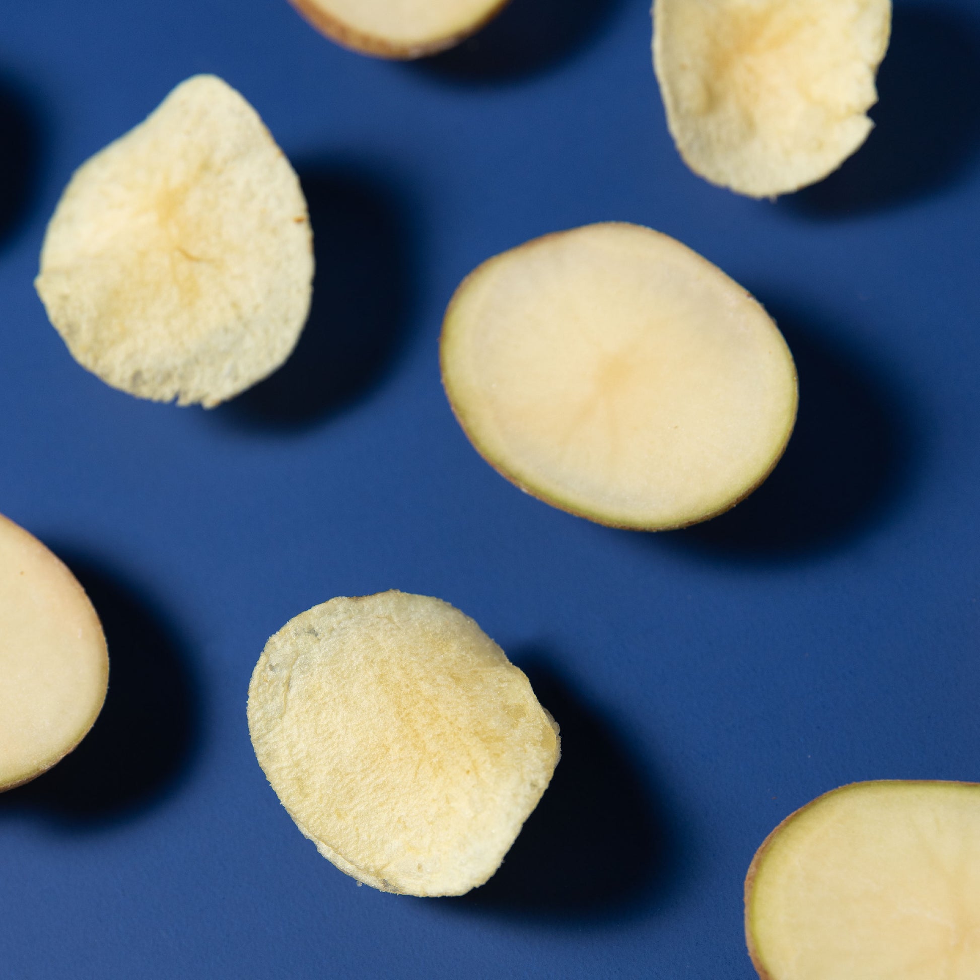 Round beige cookies on a blue background