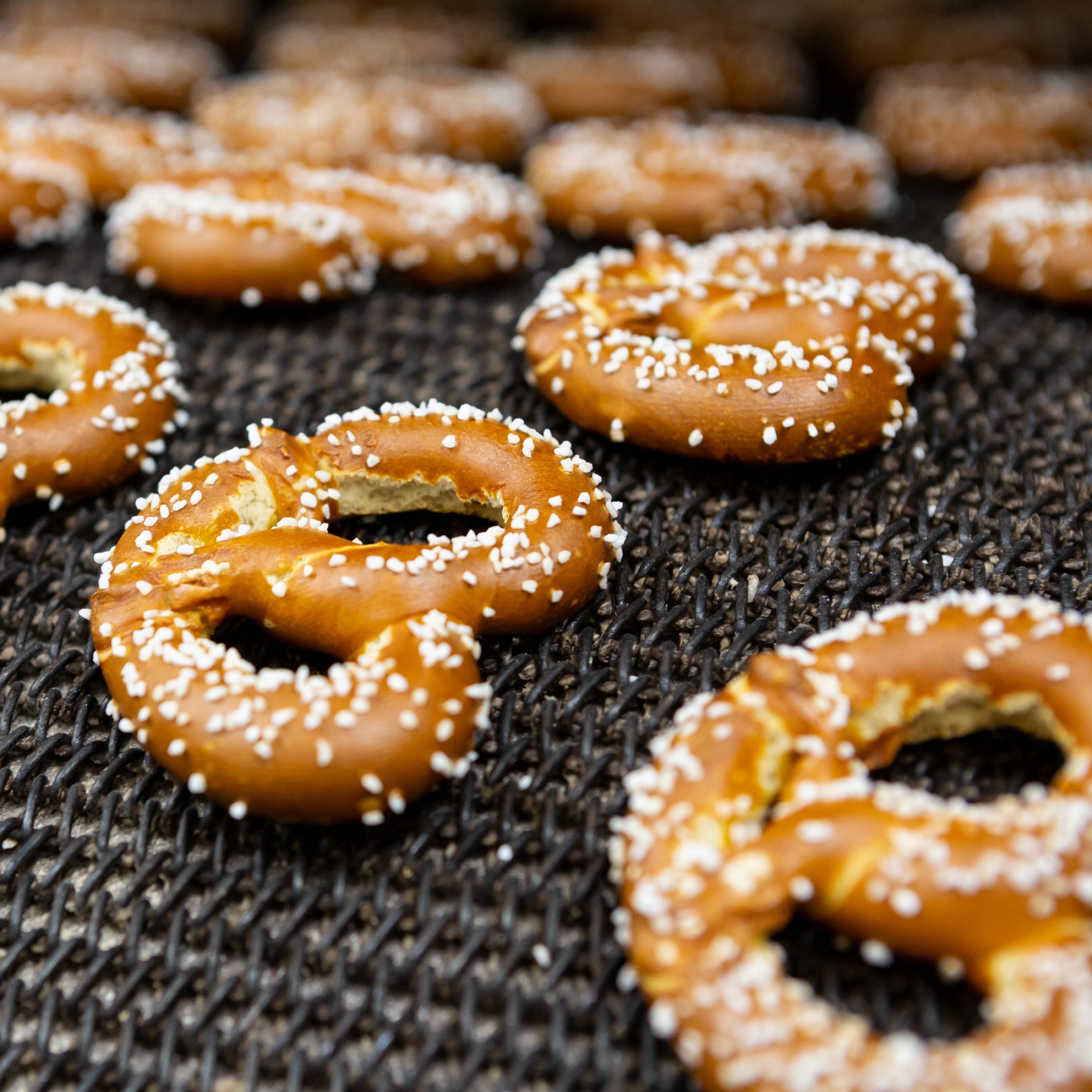 Close-up image of salted pretzels on a conveyor or drying rack, showing their golden-brown color and coarse salt sprinkled on top.